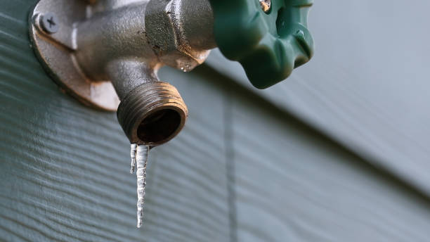 Best Clogged Drain Plumber  in Warsaw, KY